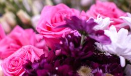 Поздравление с 8 Марта от фонда "Обыкновенное чудо"