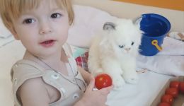 Поможем Пете получить особенное питание