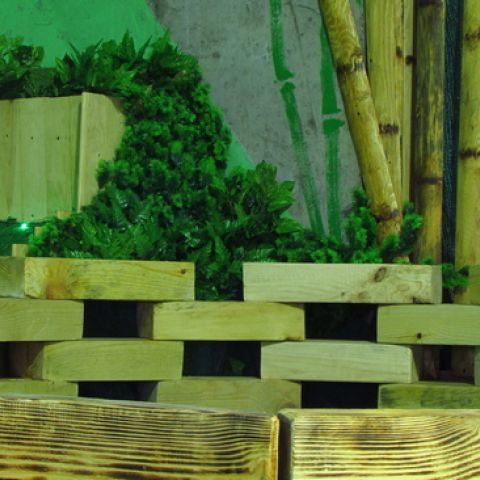 photo_1533