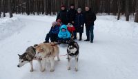 Лечение добротой: как томские хаски помогают детям с аутизмом