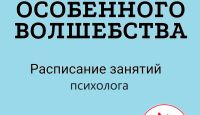 «Школа особенного волшебства». Занятия с психологом