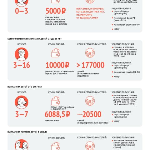 Томичи смогут получать социальные пособия, не собирая справки