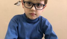 Сбор на реабилитацию Давида Сороченко закрыт